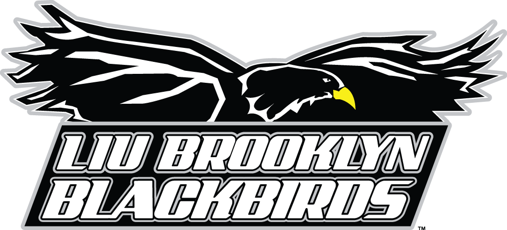 LIU-Brooklyn Blackbirds 2008-2018 Primary Logo iron on paper